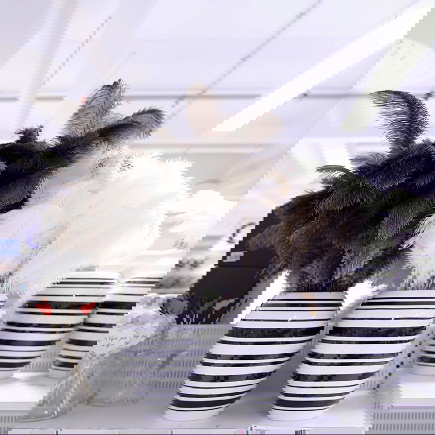 Decorate with ostrich feathers Gekås